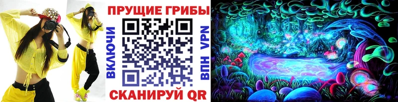 Купить  Кирово-Чепецк  Псилоцибиновые грибы Cubensis 